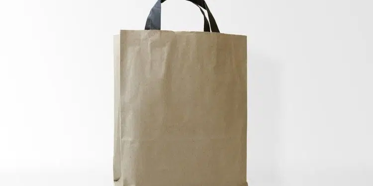 Les sacs en papier kraft : des produits indispensables au quotidien