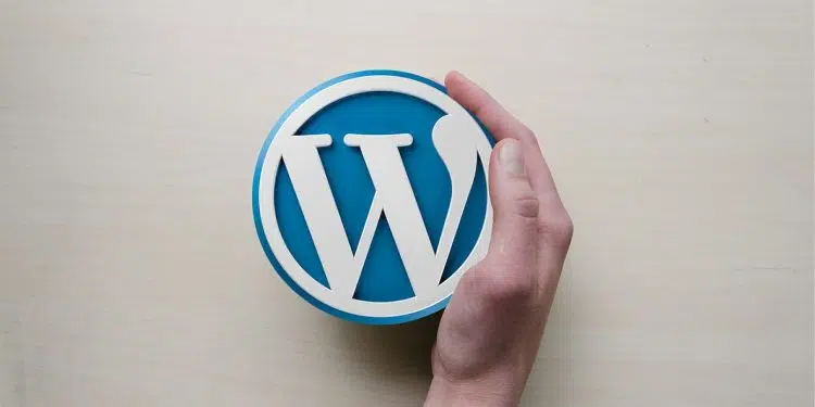 Vote site Wordpress a besoin d'un expert